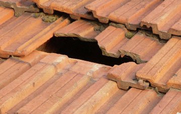 roof repair Rousdon, Devon